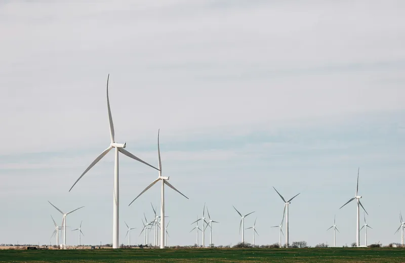 Rows of tall wind turbines spread across flat green farmland under a pale overcast sky